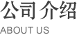 公司介绍